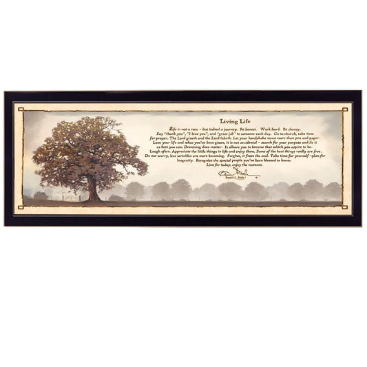 Bonnie Mohr Framed Wall Art Ready to Hang Modern Elegant Living Room Decor Gallery Quality Artwork